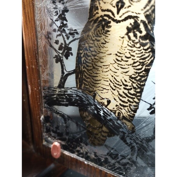 Vintage Owl Glass Wooden Lantern Box Candle Holder Brown - Picture 10 of 14